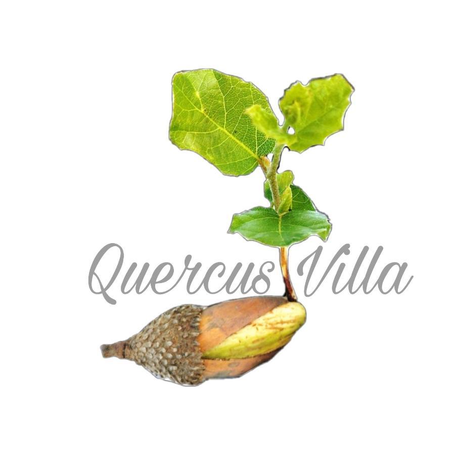 Quercus Villa Сезімбра Екстер'єр фото